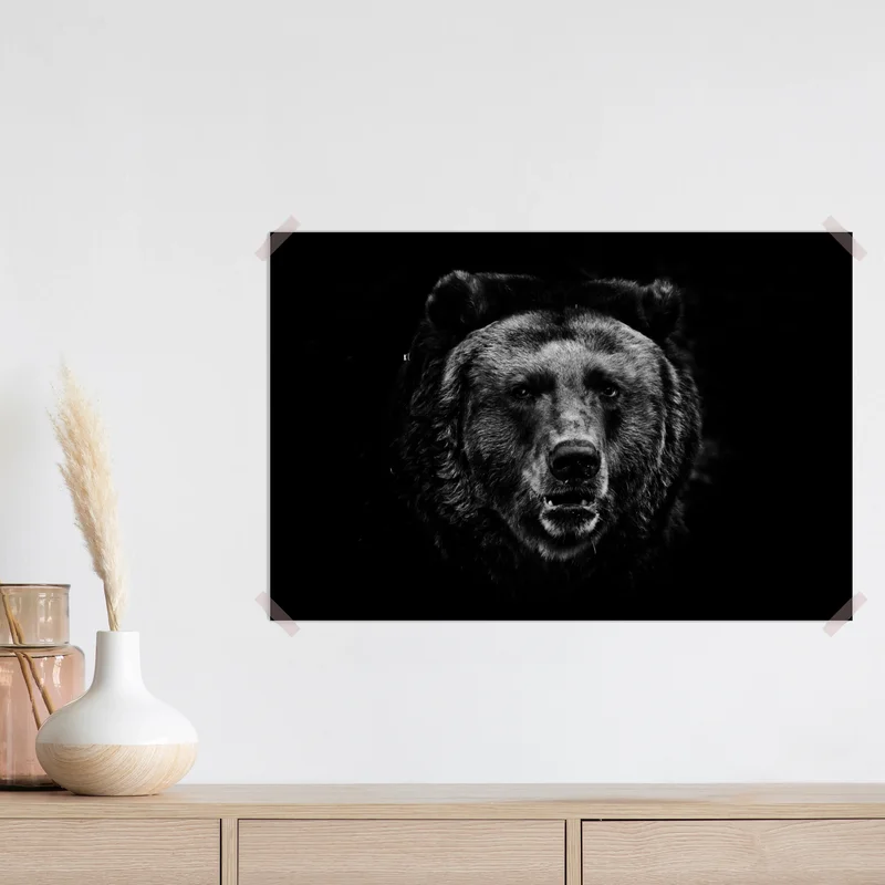 Poster düsteres grizzly-porträt in monochrom Poster düsteres grizzly-porträt in monochrom