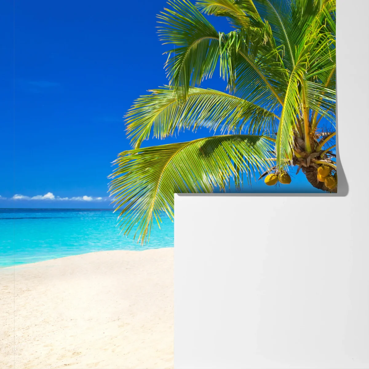 Fototapeta Morze Andamańskie tropikalna plaża z pochyloną palmą Fototapeta Morze Andamańskie tropikalna plaża z pochyloną palmą