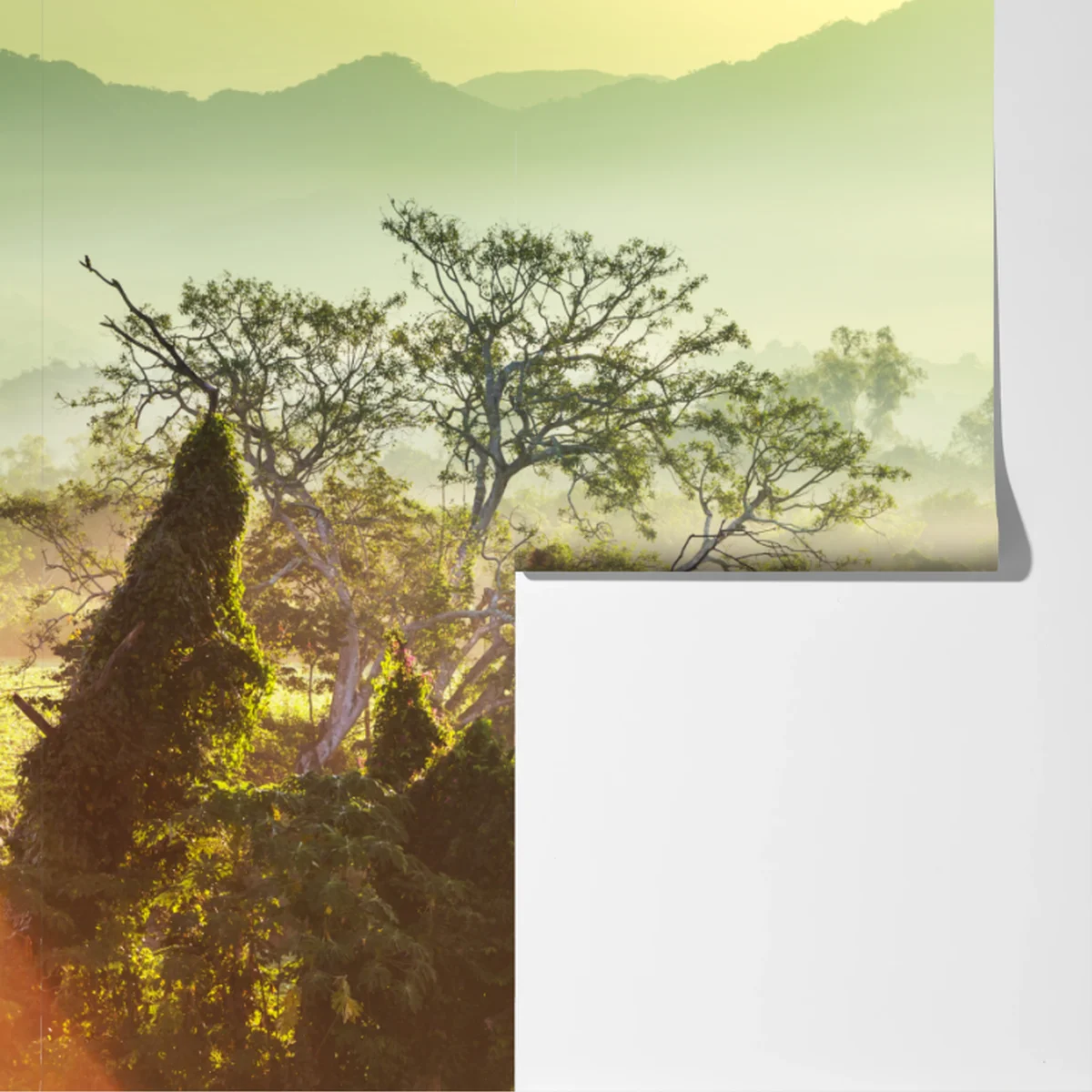 Fototapete nebliger dschungel in Vietnam bei sonnenaufgang Fototapete nebliger dschungel in Vietnam bei sonnenaufgang