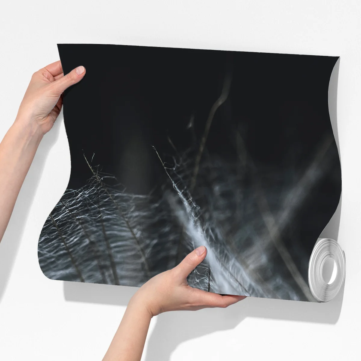 Fototapete zarte löwenzahnsamen in monochrom Fototapete zarte löwenzahnsamen in monochrom