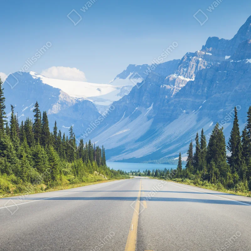 Fototapete straße durch kiefernwald zu gletschersee und bergen Fototapete straße durch kiefernwald zu gletschersee und bergen