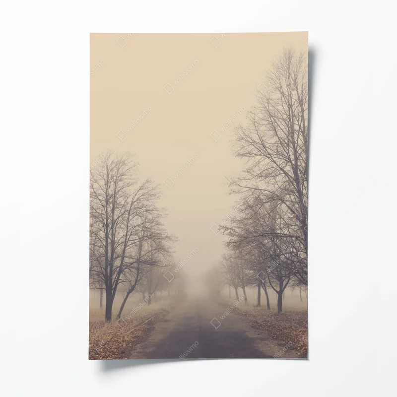 Poster Alte Asphaltstraße im Herbstpark mit Bäumen im Nebel. • Poster bei Wallnifity® Poster Alte Asphaltstraße im Herbstpark mit Bäumen im Nebel. • Poster bei Wallnifity®