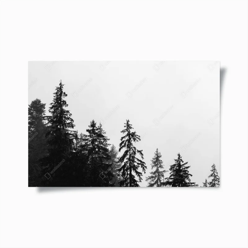 Poster Nebelige Landschaft mit Tannenwald, malerischer Blick auf Baumwipfel in Wolken, natürlicher Hintergrund • Poster bei Wallnifity® Poster Nebelige Landschaft mit Tannenwald, malerischer Blick auf Baumwipfel in Wolken, natürlicher Hintergrund • Poster bei Wallnifity®