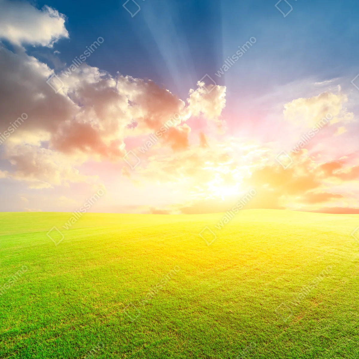 Laptop-Aufkleber sonnenbeschienene wiese bei sonnenuntergang Laptop-Aufkleber sonnenbeschienene wiese bei sonnenuntergang