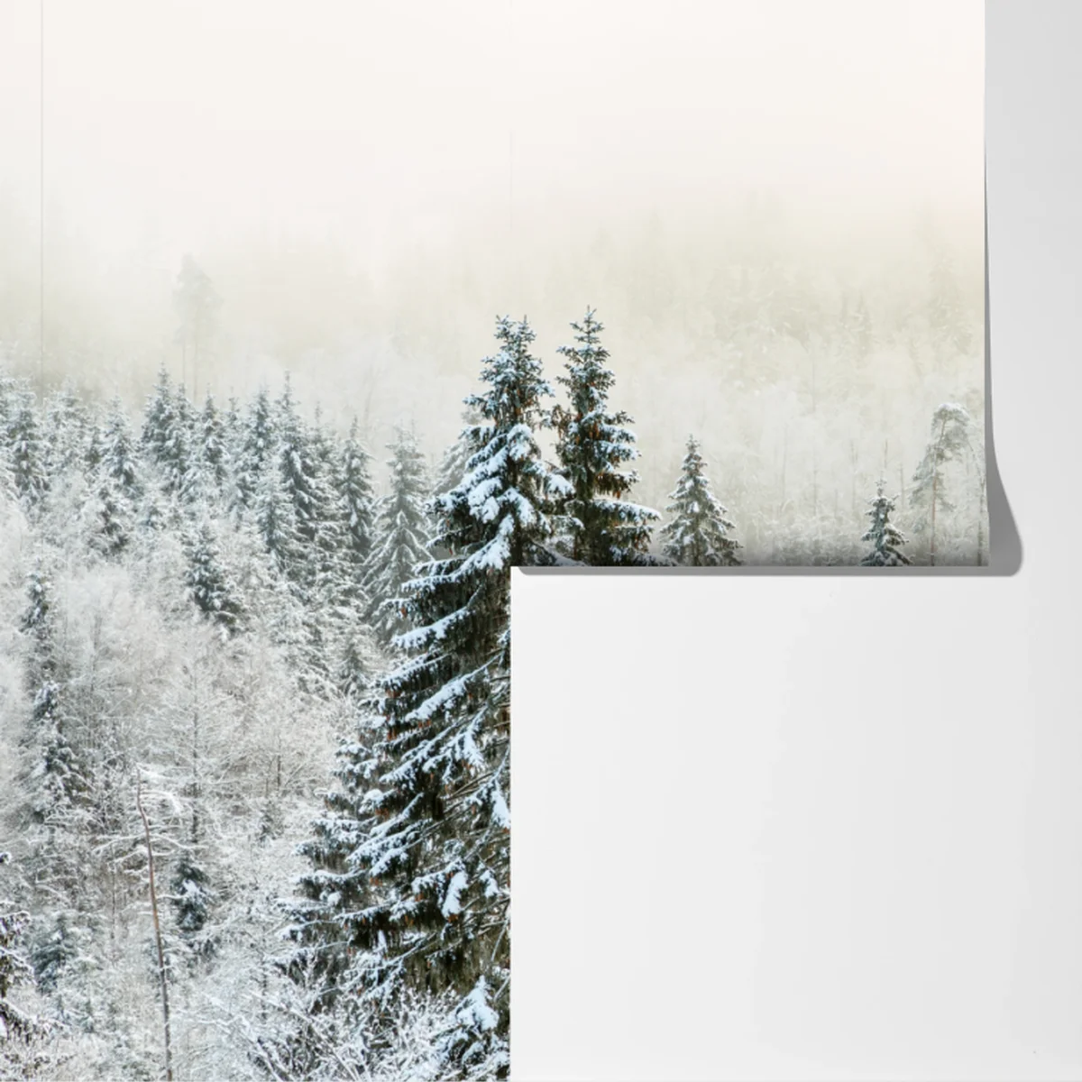 Fototapete verschneiter wald im sanften nebel Fototapete verschneiter wald im sanften nebel