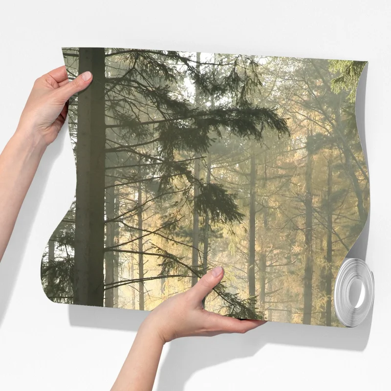 Fototapeta mglisty poranek w lesie z promieniami słońca Fototapeta mglisty poranek w lesie z promieniami słońca