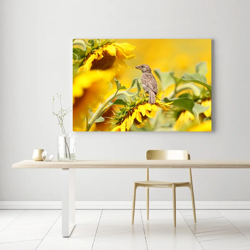 Leinwandbild spatz auf einer sonnenblume Leinwandbild spatz auf einer sonnenblume