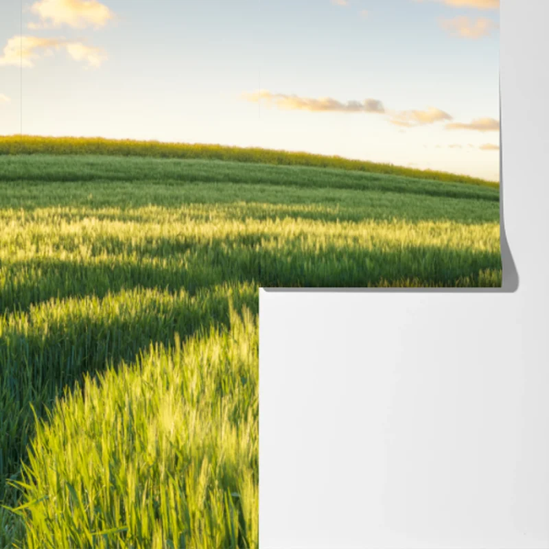 Fototapeta spokojna zielona łąka panorama Fototapeta spokojna zielona łąka panorama