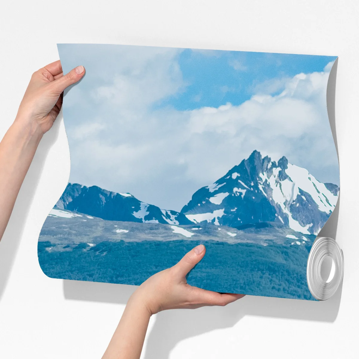 Fototapeta lwy morskie i ptaki na skalistym wybrzeżu Fototapeta lwy morskie i ptaki na skalistym wybrzeżu