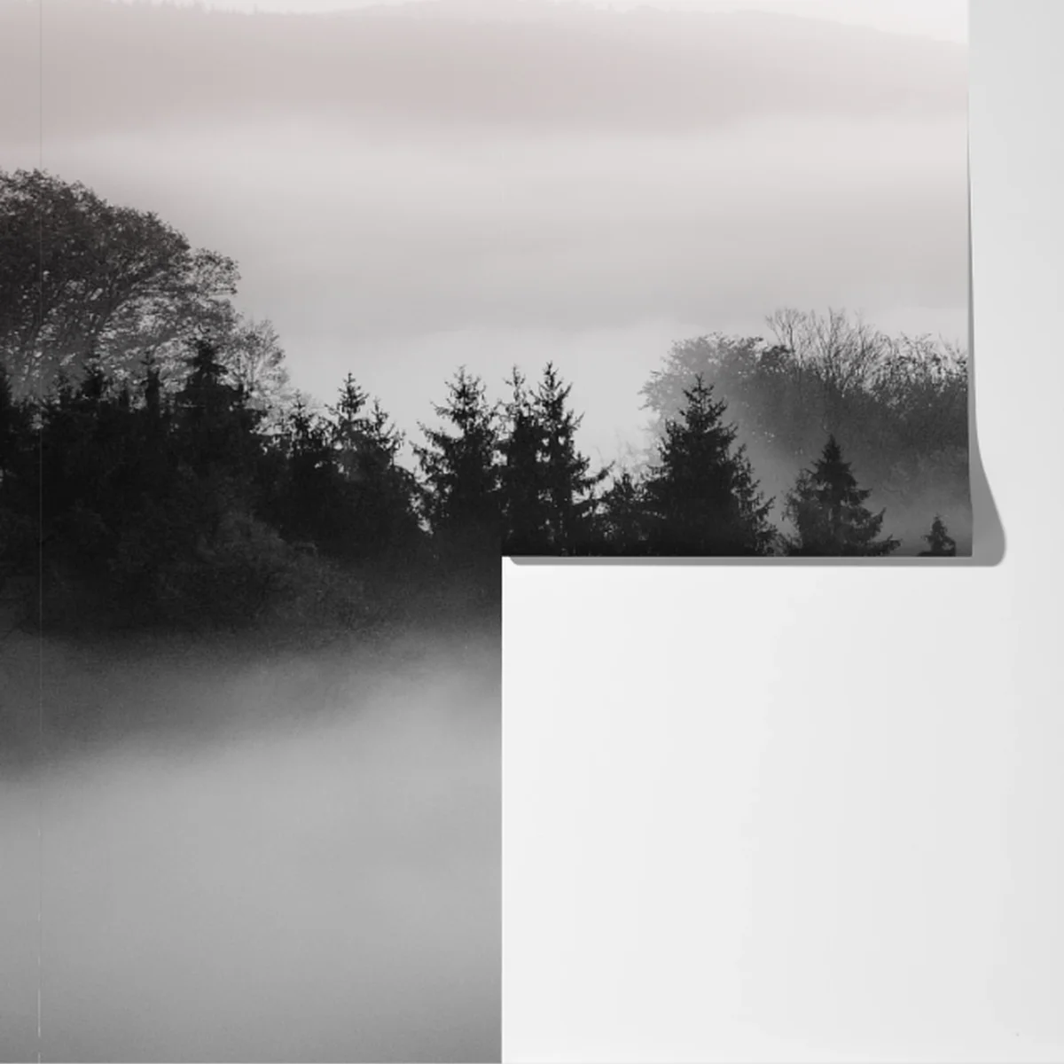 Fototapete nebliger wald in grautönen Fototapete nebliger wald in grautönen