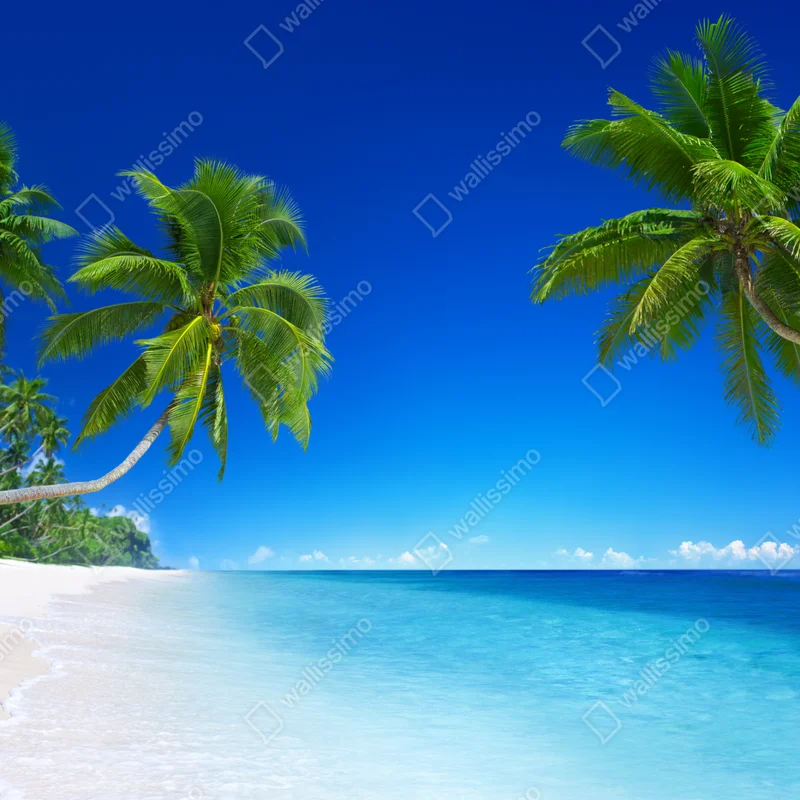 Naklejka na laptopa tropikalna plaża z palmami Naklejka na laptopa tropikalna plaża z palmami