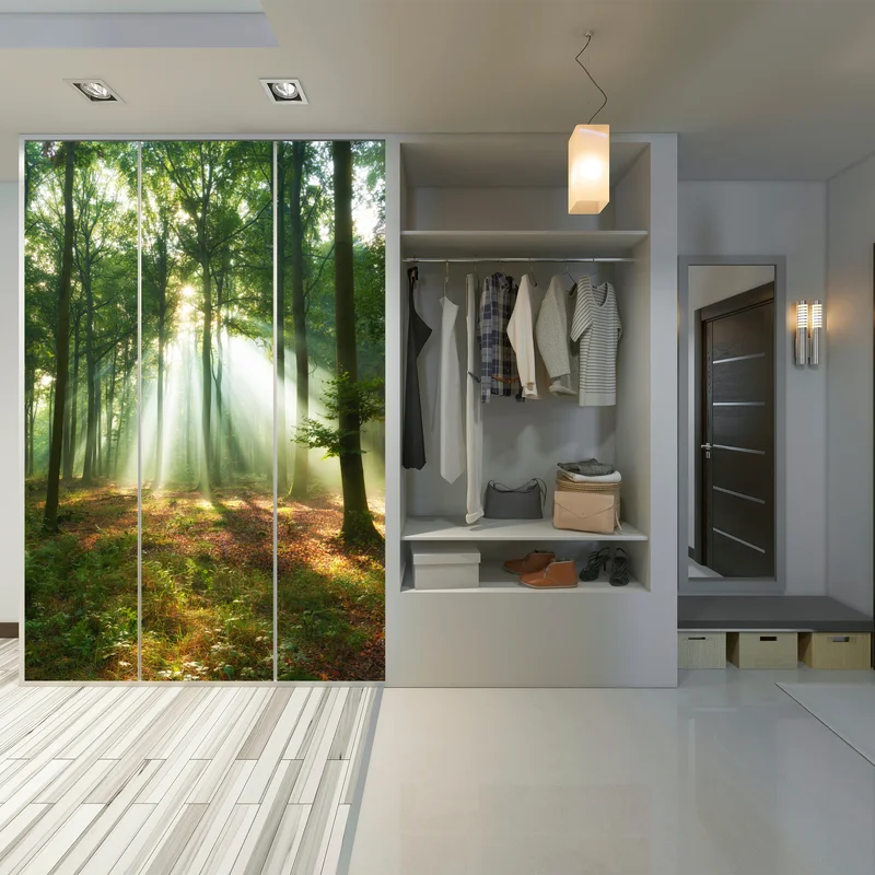 Schrankaufkleber morgendliches licht im wald