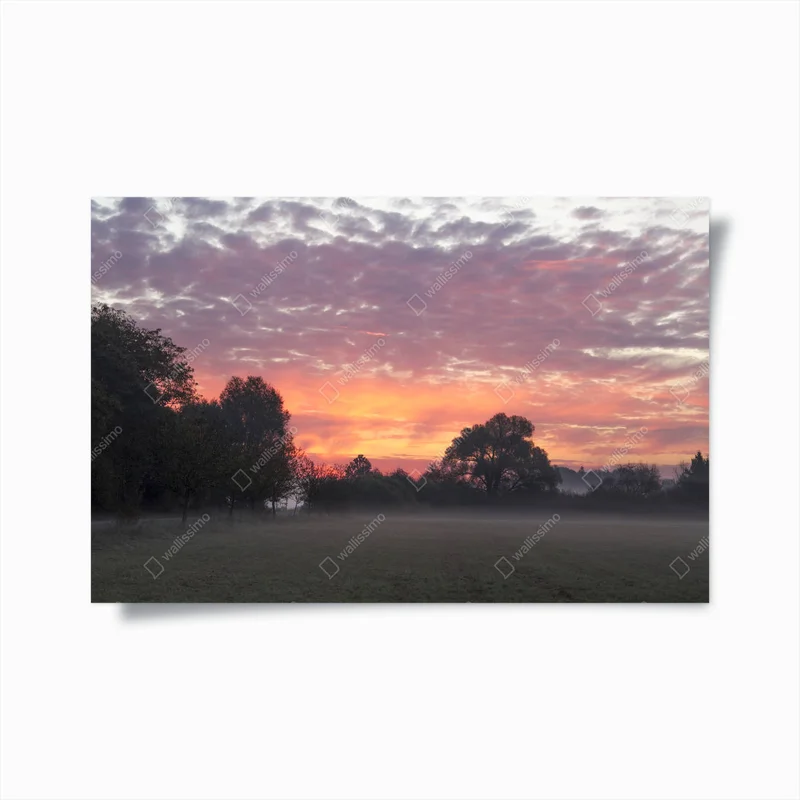 Poster Morgennebel über Feld und rosa Himmel mit Sonnenaufgang • Poster bei Wallnifity® Poster Morgennebel über Feld und rosa Himmel mit Sonnenaufgang • Poster bei Wallnifity®