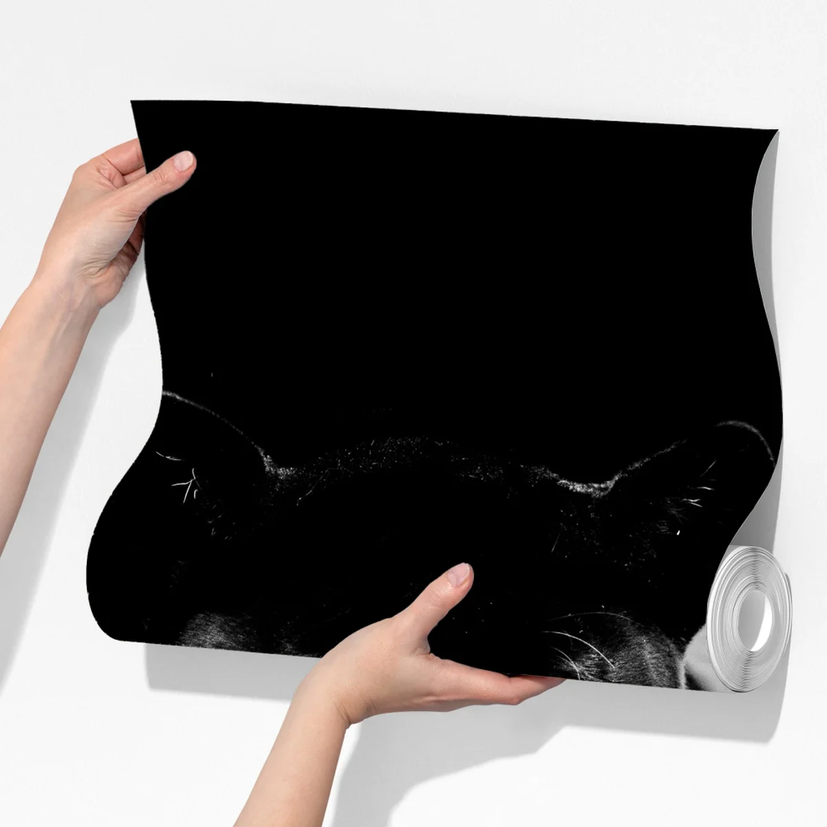 Fototapete majestätisches porträt eines schwarzen panthers Fototapete majestätisches porträt eines schwarzen panthers