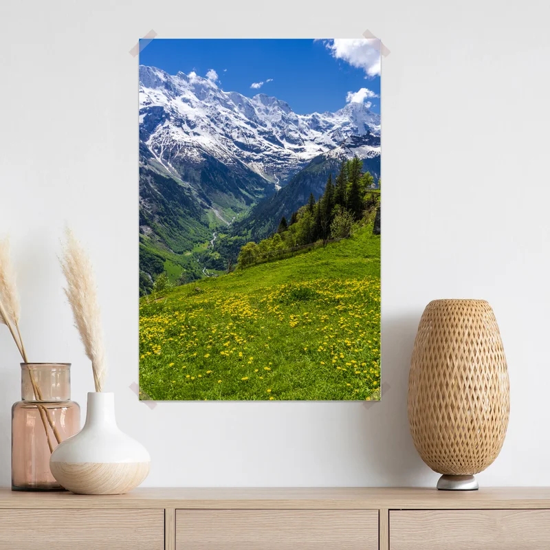 Poster alpwiese im frühling vor schneebedeckten gipfeln Poster alpwiese im frühling vor schneebedeckten gipfeln