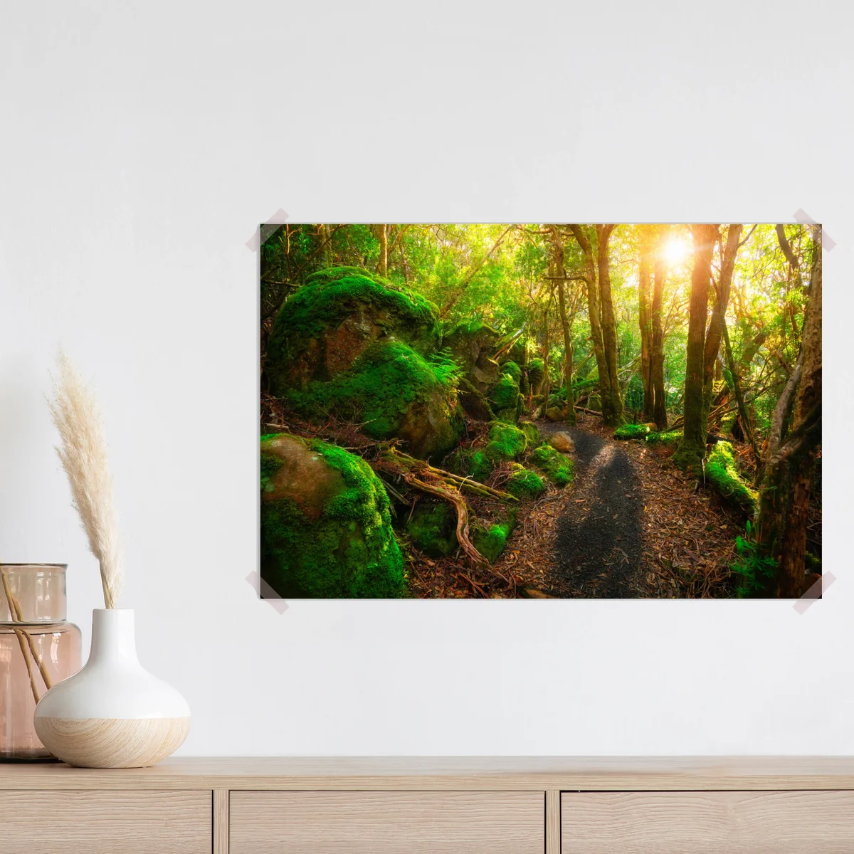 Poster sonniger pfad im regenwald der Tasman-Halbinsel, Tasmanien • Poster bei Wallnifity® Poster sonniger pfad im regenwald der Tasman-Halbinsel, Tasmanien • Poster bei Wallnifity®