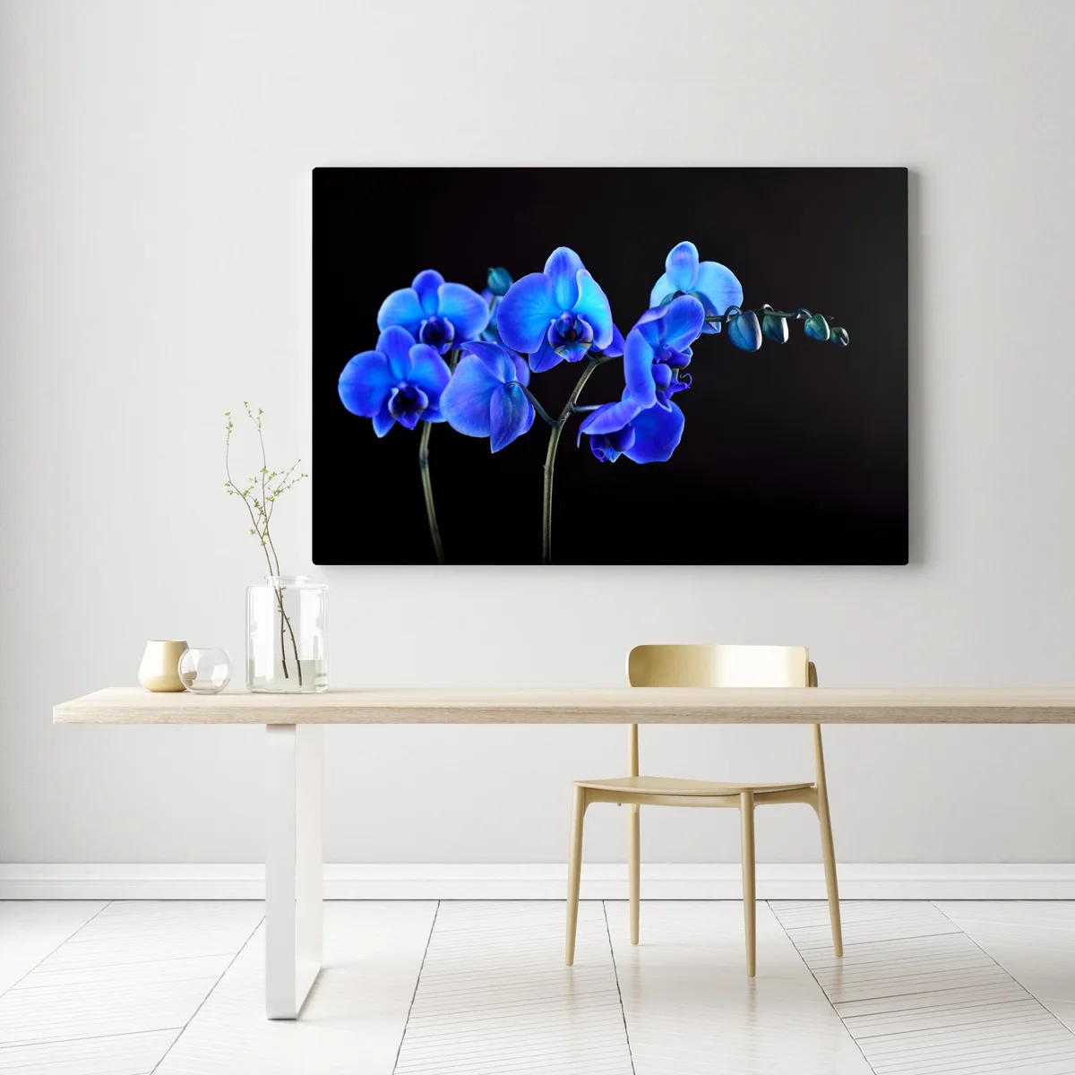 Leinwandbild leuchtende blaue orchidee vor schwarzem hintergrund Leinwandbild leuchtende blaue orchidee vor schwarzem hintergrund