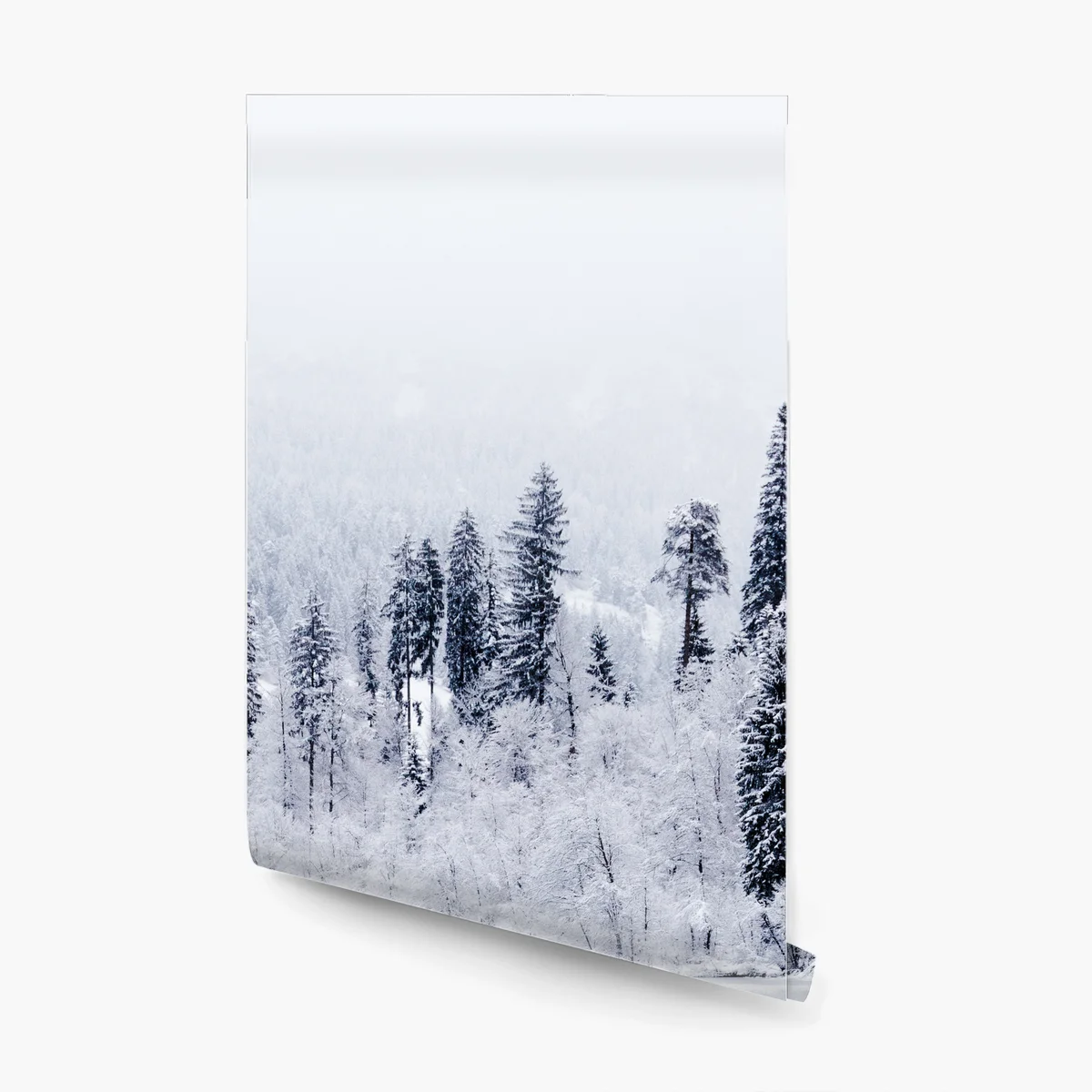 Fototapete winterlicher see mit spiegelung im verschneiten wald Fototapete winterlicher see mit spiegelung im verschneiten wald