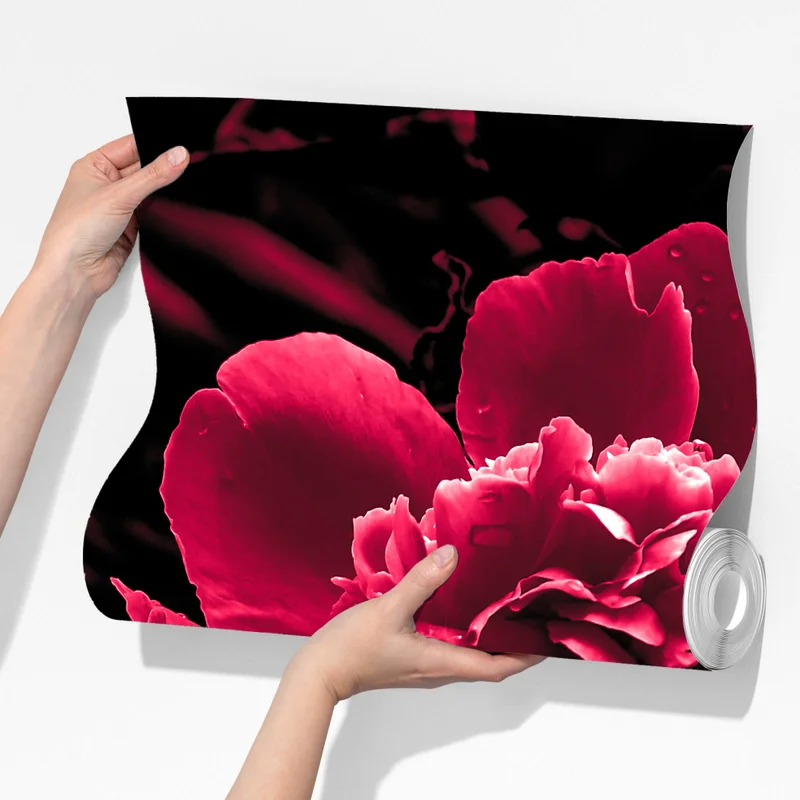 Fototapeta nastrojowe różowe piwonie Fototapeta nastrojowe różowe piwonie