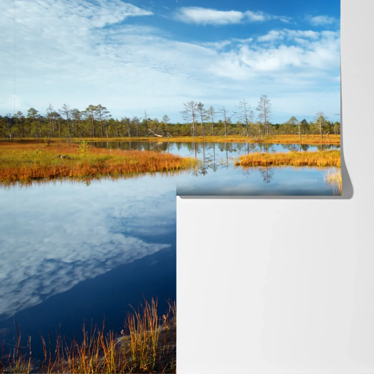 Fototapeta jesienna kładka nad spokojnym torfowiskiem Fototapeta jesienna kładka nad spokojnym torfowiskiem