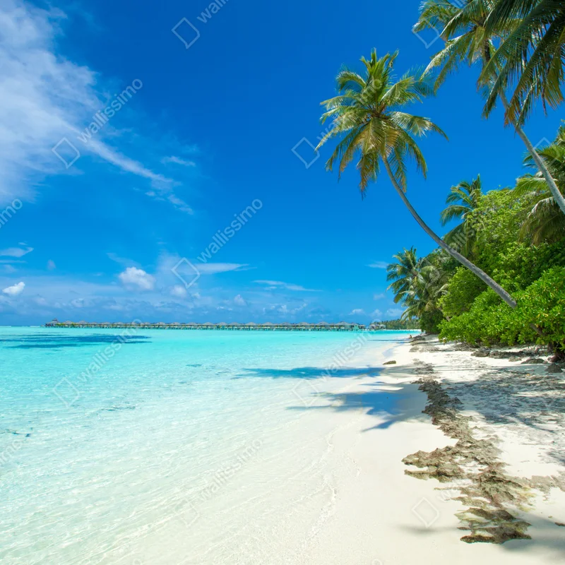 Fototapete tropischer strand auf den Malediven Fototapete tropischer strand auf den Malediven