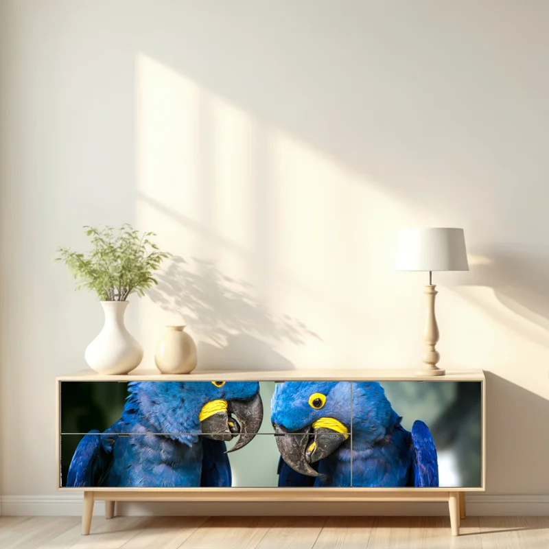 Repositionierbarer Aufkleber paar blauer aras - nahaufnahme