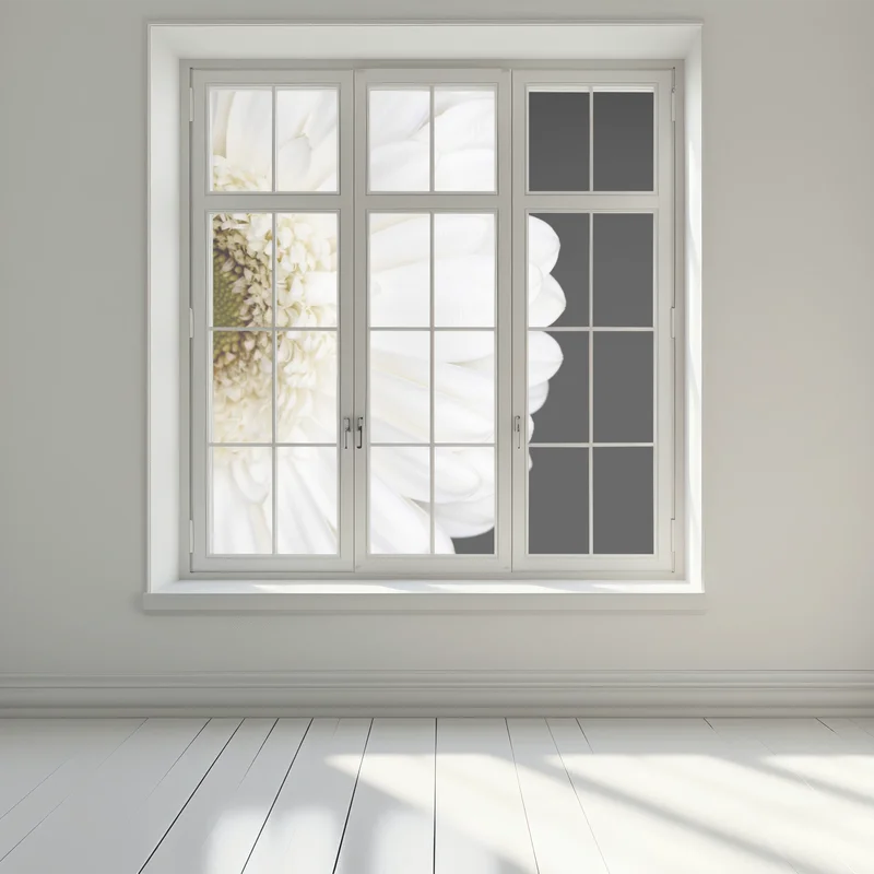 Fensteraufkleber weiße gerbera auf schwarzem hintergrund minimalistische nahaufnahme