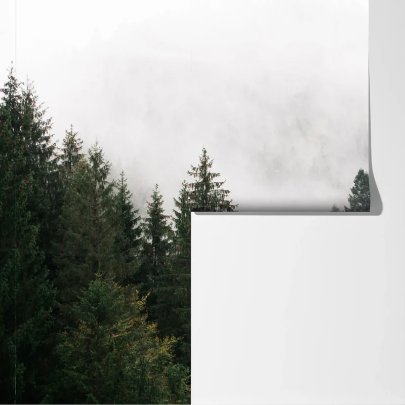 Fototapete nebliger bergwald im dunst Fototapete nebliger bergwald im dunst