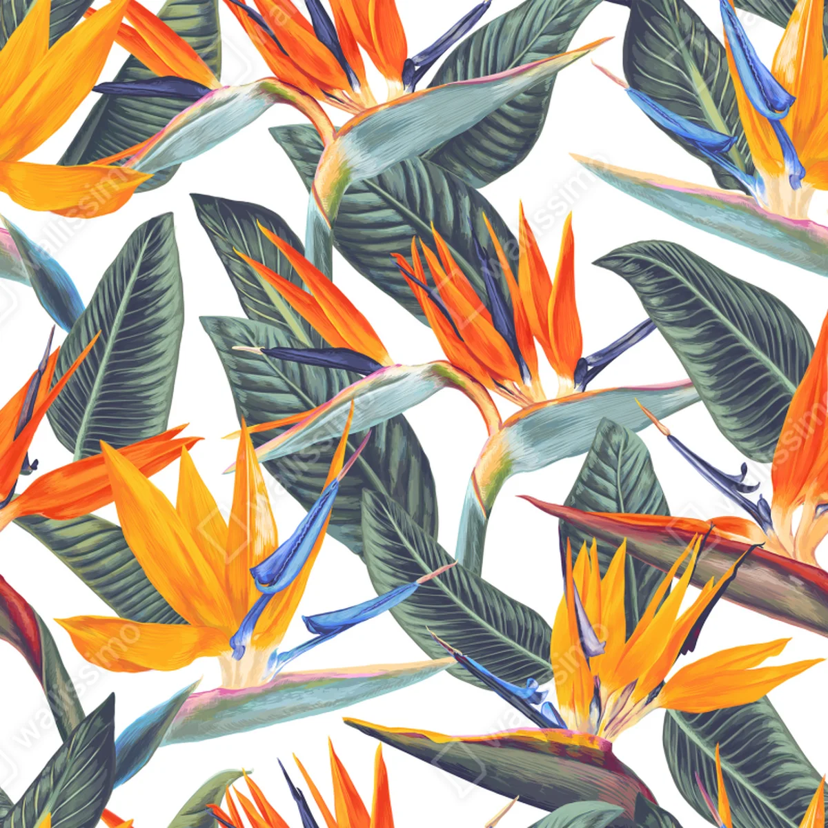 Fototapete tropisches muster mit strelitzien Fototapete tropisches muster mit strelitzien