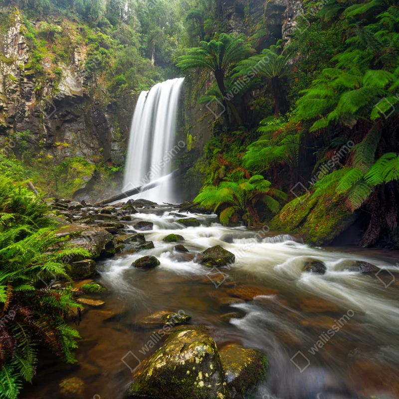 Fototapete üppiger wasserfall im farnwald Fototapete üppiger wasserfall im farnwald