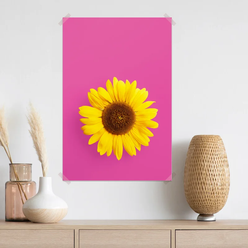 Poster leuchtende sonnenblume auf rosa hintergrund Poster leuchtende sonnenblume auf rosa hintergrund