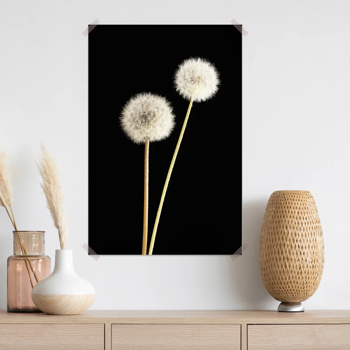 Poster zarte löwenzahnsamen auf schwarzem hintergrund Poster zarte löwenzahnsamen auf schwarzem hintergrund