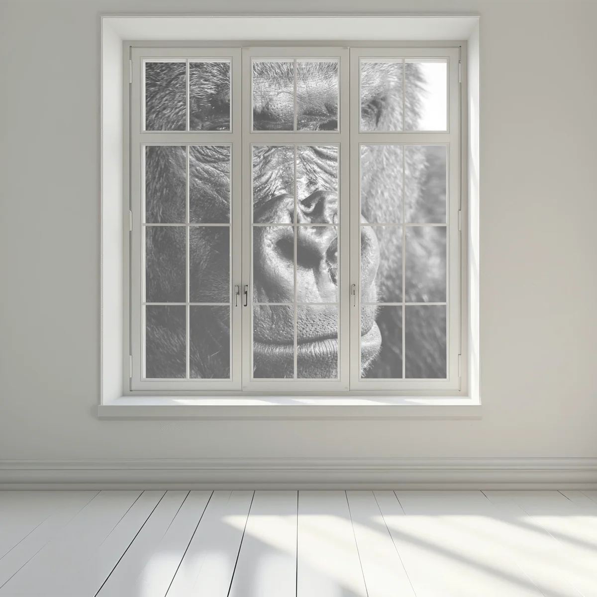 Fensteraufkleber intensives gorilla-porträt in schwarzweiß Fensteraufkleber intensives gorilla-porträt in schwarzweiß