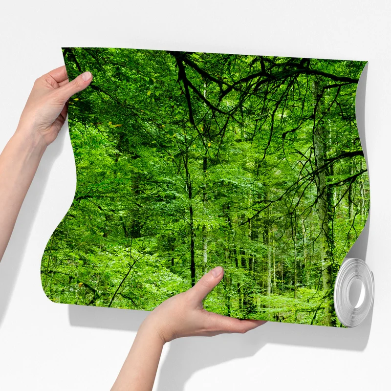 Fototapete moosbedeckter waldbach Fototapete moosbedeckter waldbach