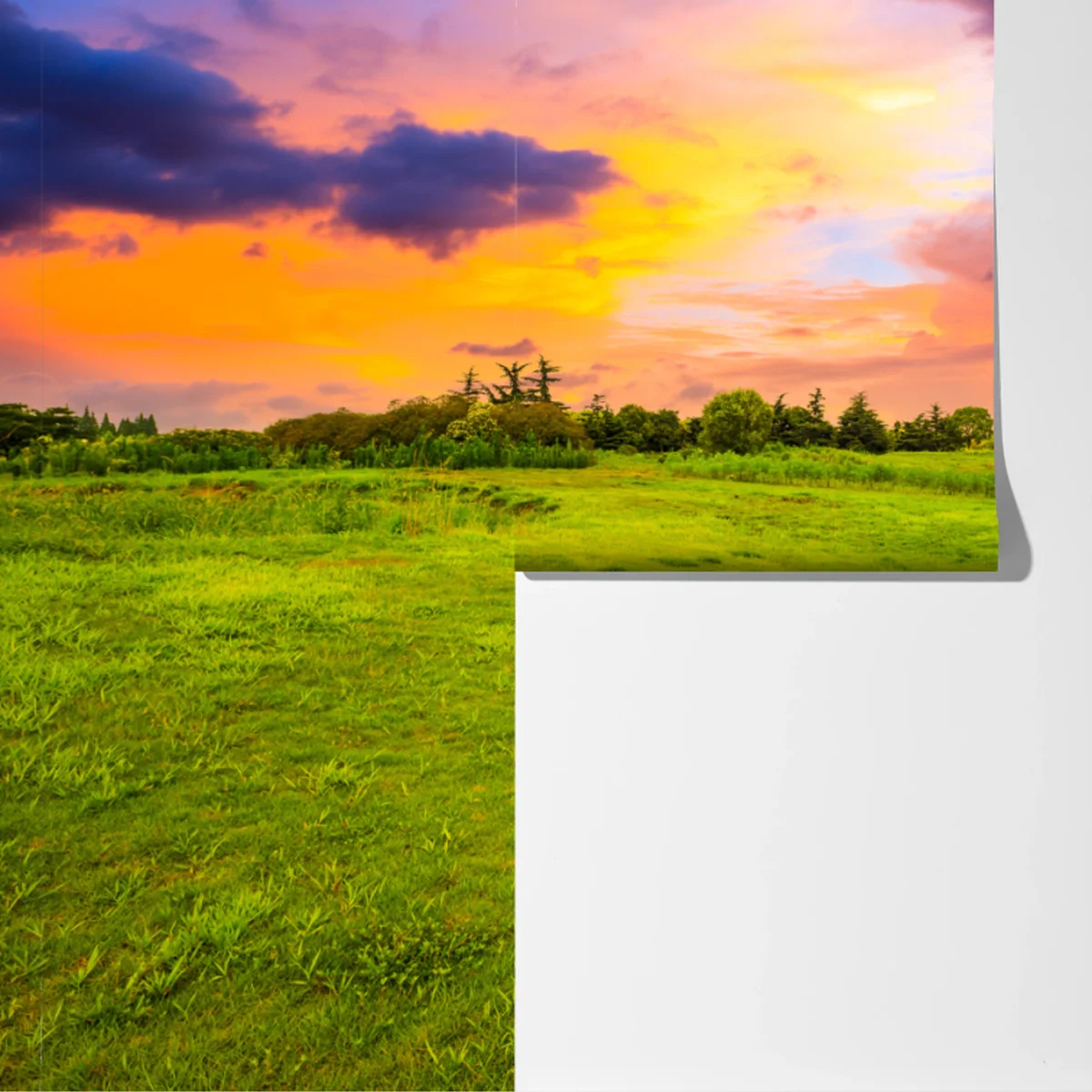 Fototapete sonnenuntergang über grüner wiese Fototapete sonnenuntergang über grüner wiese