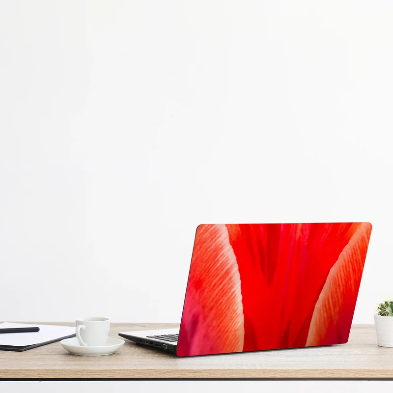 Laptop-Aufkleber leuchtende rote tulpen nahaufnahme