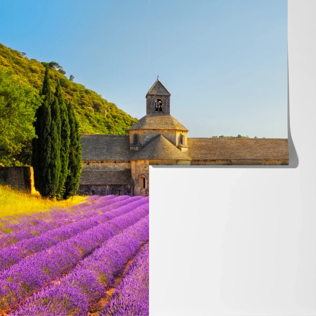 Fototapete lavendelfelder bei Abtei Sénanque, Provence Fototapete lavendelfelder bei Abtei Sénanque, Provence