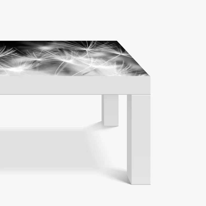 Tischaufkleber und Schreibtischaufkleber zarte löwenzahnsamen in monochrom Tischaufkleber und Schreibtischaufkleber zarte löwenzahnsamen in monochrom