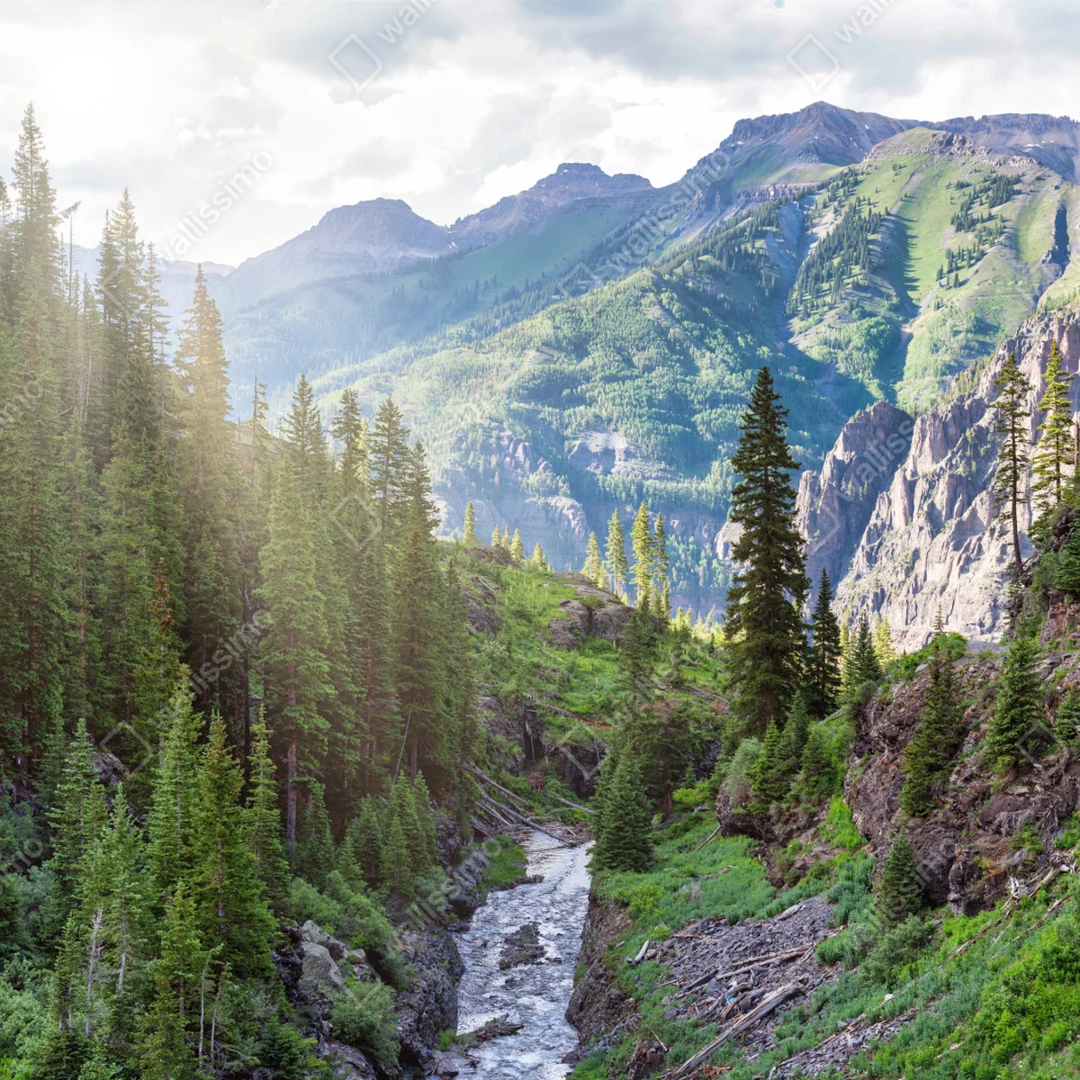 Poster sonniges bergtal mit fluss • Poster bei Wallnifity® Poster sonniges bergtal mit fluss • Poster bei Wallnifity®