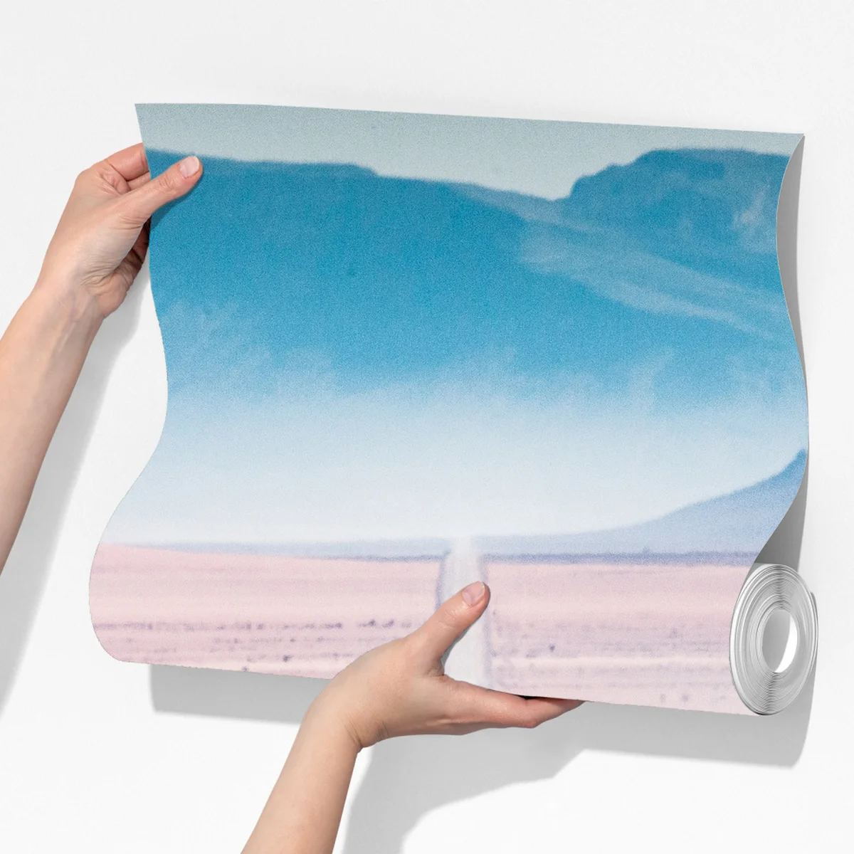 Fototapete zebra auf der wüstenstraße Fototapete zebra auf der wüstenstraße