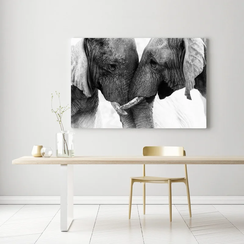 Leinwandbild elefanten umarmung schwarzweißes porträt Leinwandbild elefanten umarmung schwarzweißes porträt