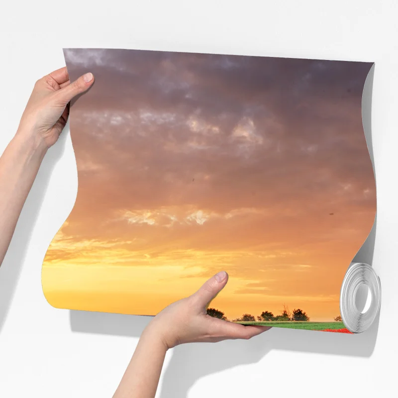 Fototapete mohnfeld im sonnenuntergang Fototapete mohnfeld im sonnenuntergang