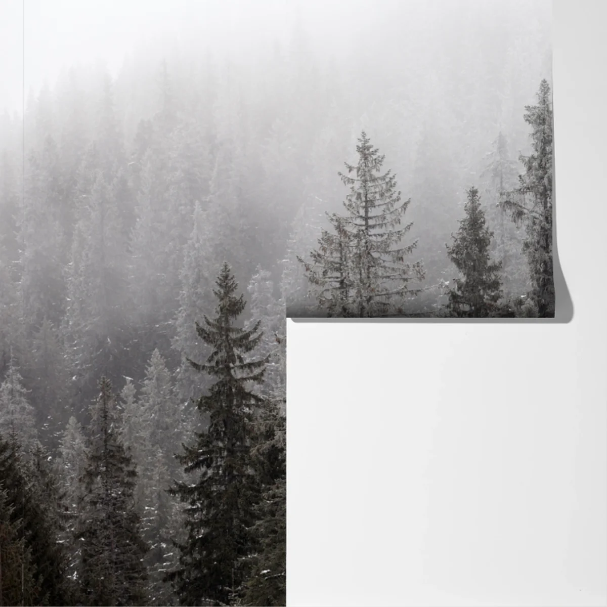 Fototapete nebliger winterwald in den Karpaten Fototapete nebliger winterwald in den Karpaten