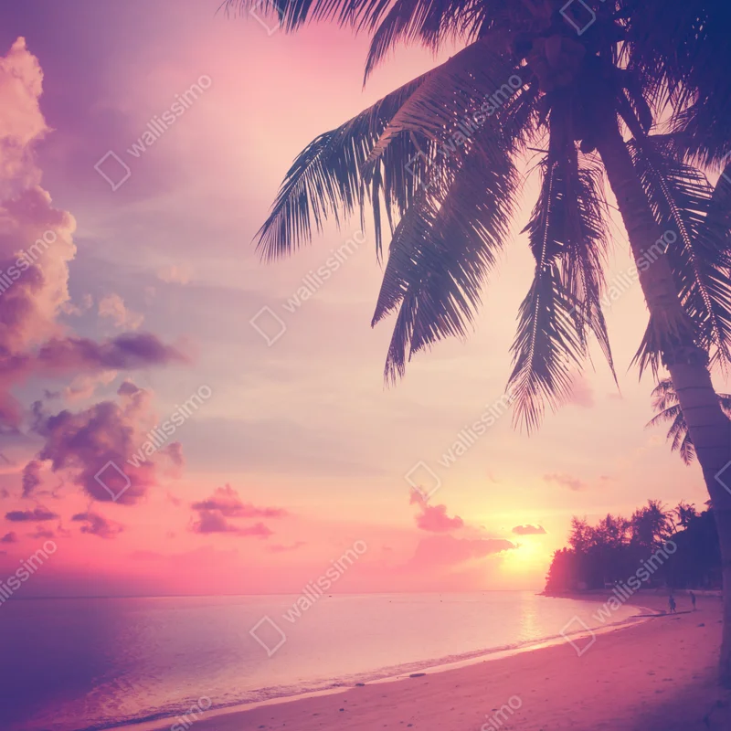 Türaufkleber tropischer sonnenuntergang am strand Türaufkleber tropischer sonnenuntergang am strand