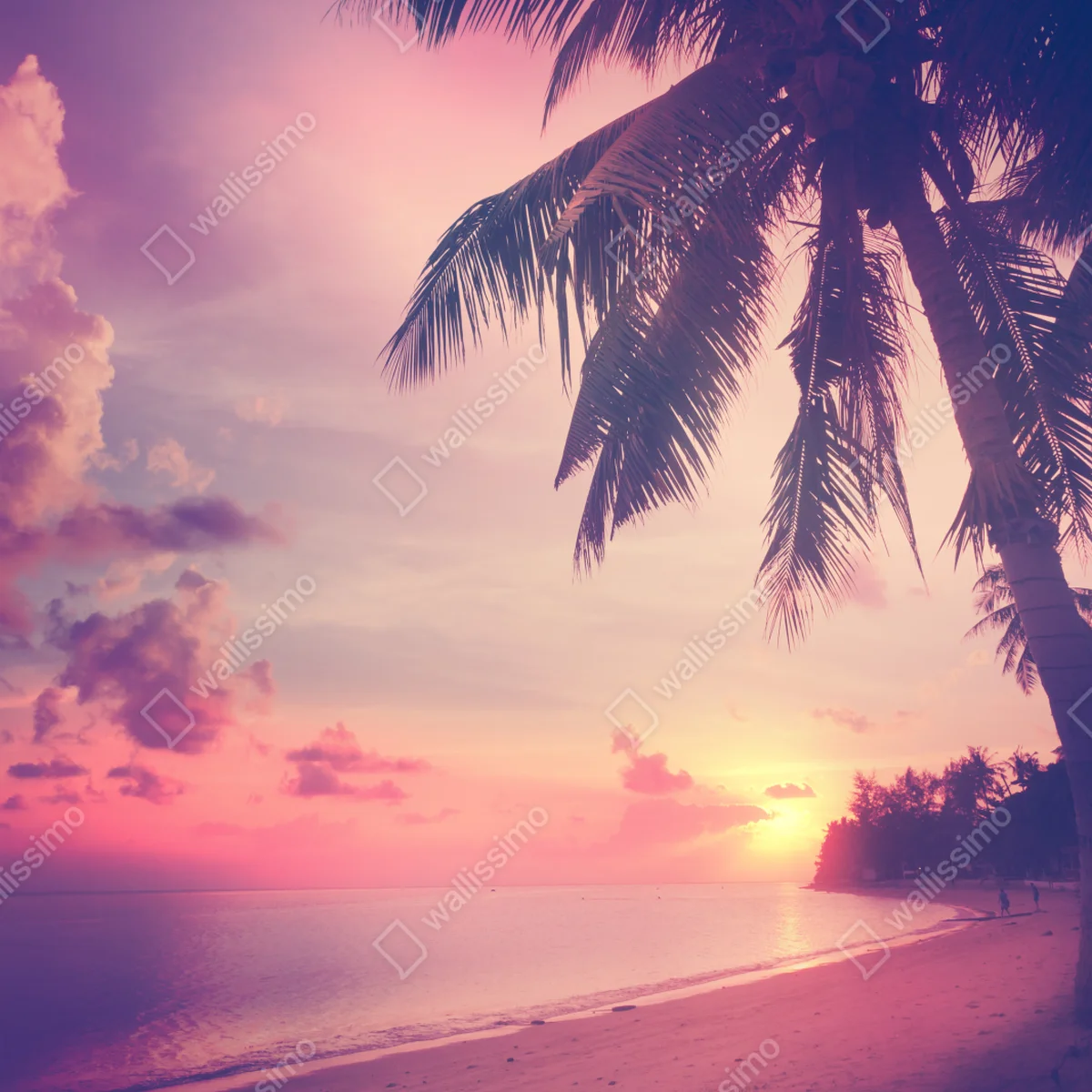 Türaufkleber tropischer sonnenuntergang am strand Türaufkleber tropischer sonnenuntergang am strand