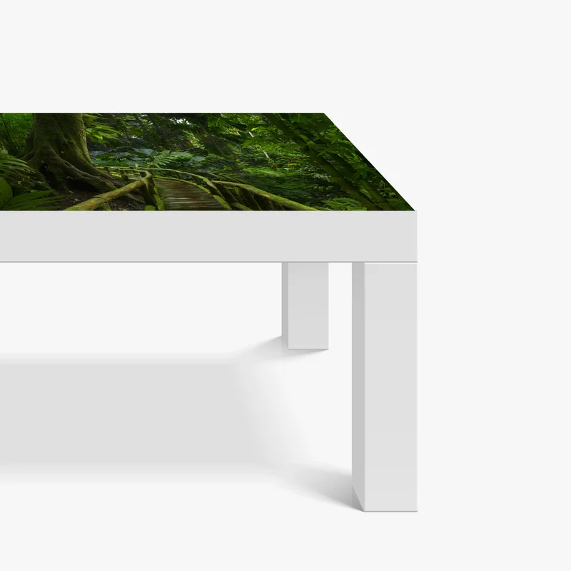 Tischaufkleber und Schreibtischaufkleber ruhiger dschungelsteg durch üppigen regenwald