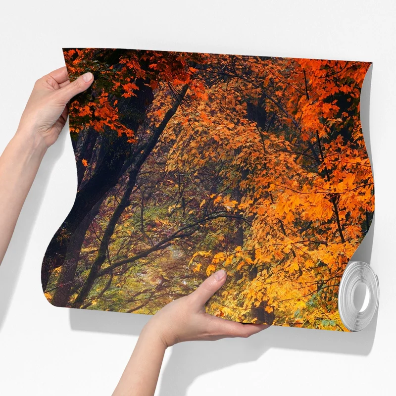 Fototapeta jesienna leśna ścieżka w złotym świetle Fototapeta jesienna leśna ścieżka w złotym świetle