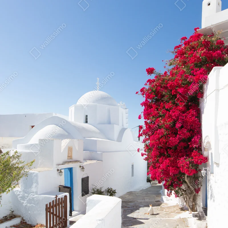 Schrankaufkleber sonnige gasse auf der insel mit leuchtender buganvillea Schrankaufkleber sonnige gasse auf der insel mit leuchtender buganvillea
