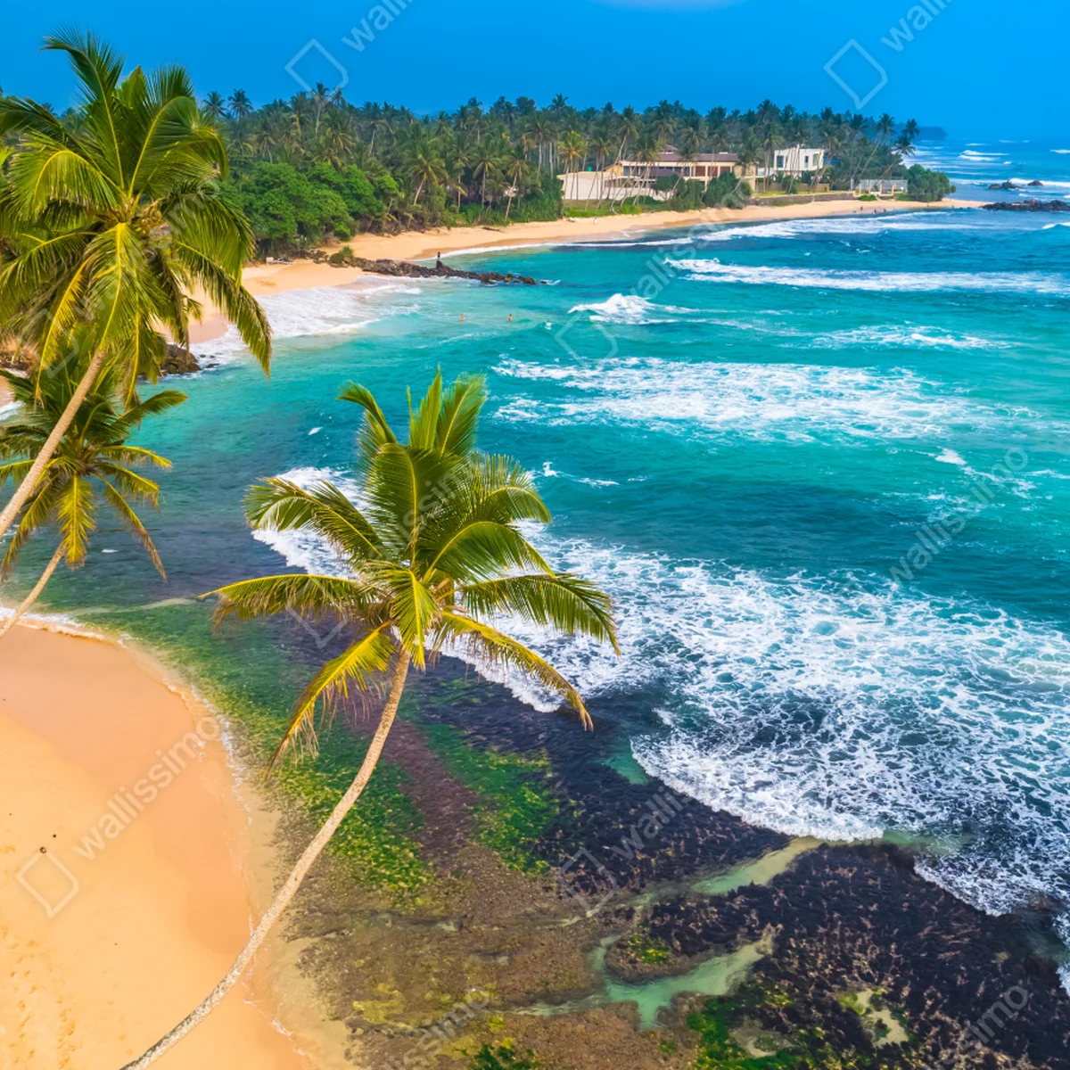 Naklejka na laptopa turkusowe tropikalne wybrzeże z palmami Naklejka na laptopa turkusowe tropikalne wybrzeże z palmami