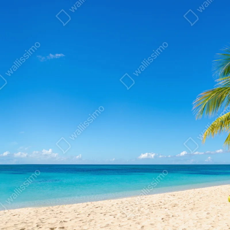 Laptop-Aufkleber tropischer strand mit türkiswasser und palme Laptop-Aufkleber tropischer strand mit türkiswasser und palme